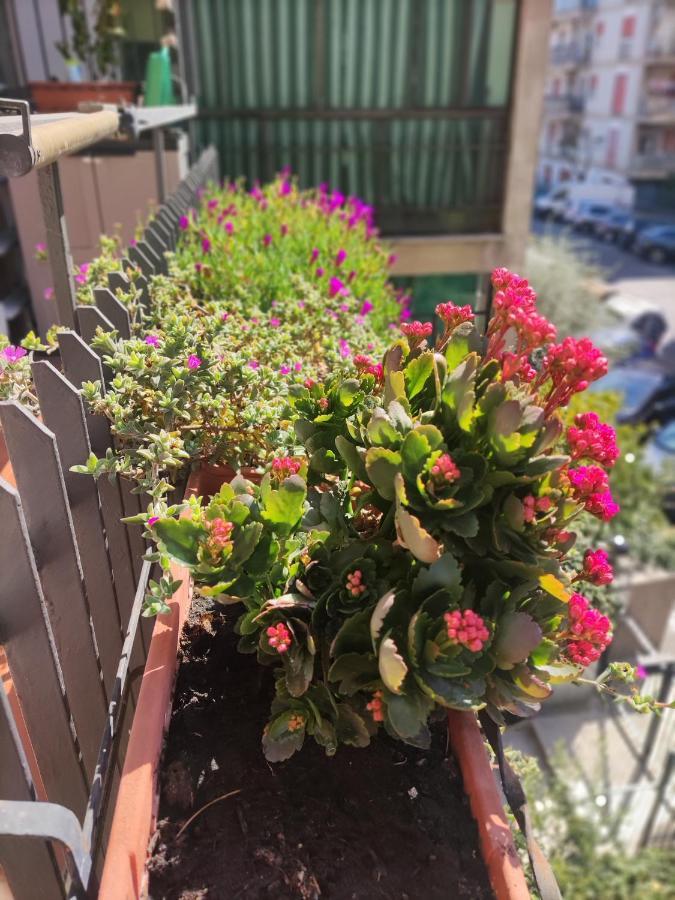 Apartament La Casa Dei Nonni Rzym Zewnętrze zdjęcie